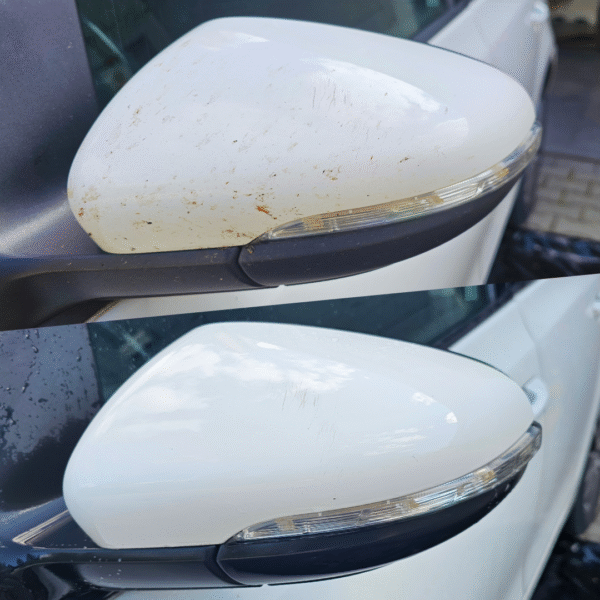 płyn do usuwania owadów