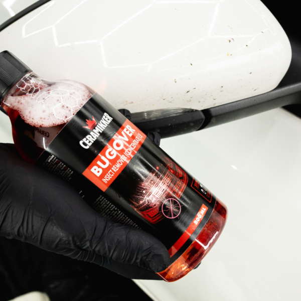 usuwanie owadów z auta